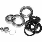 25-2015 Quadboss Differential Bearing And Seal Kit 0887337117980