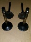 Domino Ducati Bevel Ss Valve Set Made In Italy Hdesa