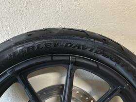 43300661 Harley-davidson 2015-2022 Sportster 1200 Oem Front Wheel Rim Hub 19 Inch