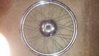 43662-808 P-n Harley-davidson Harley Davidson