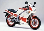 Yamaha TZR125 93-1997 Dark Tint Original Profile Screen Powerbronze. Fixed Price $101.64.