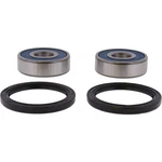 Balls Racing Front Wheel Bearing Kit For Suzuki GZ250 1999-2010. Fixed Price $21.49.