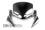 2011 - 2014 GSR750 Carbon Fiber Front Fairing (fits: Suzuki). Fixed Price $139.95.