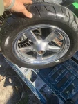 11 Harley Sportster Custom 1200 Front Wheel Thunderstar Rim Tire 130/90B16 1366. Fixed Price $300.00.