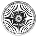 Ride Wright Wheels 50 Spoke Black Exotica Rear 04855-880-EX-BLKSP-T. Fixed Price $218.38.