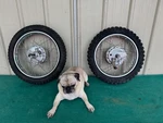 Vintage 1980 Yamaha GT-80 Front And Rear Steel Wheel Rim Hub Set Oem. Fixed Price $137.00.