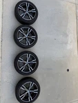 36118089894 Set Of 19" Oem Genuine Wheels Rims For Bmw M240I M340I M440I 792M. Fixed Price $999.00.