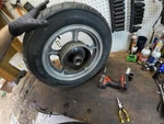 1998 Honda Shadow Vt 1100 Rear Back Wheel Rim Tire. Fixed Price $107.63.