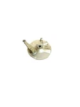 #335-320 Front Wheel Brake Panel Plate Yamaha 2000-2004. Fixed Price $30.00.