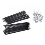 Tusk Motorcycle Kit Rear 19" Black Spoke/silver Nipple SPK-YR-19-BK. Fixed Price $71.89.