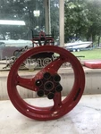 02 Ducati Monster Rear Back Rim Wheel Straight. Fixed Price $152.99.