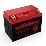 Neptune 230 Cca YTZ12S 12V 11AH Battery Honda NSS300 Forza 2014-2015. Fixed Price $35.99.