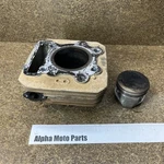 Honda TRX250 Cylinder And Piston Core 74MM 1985 ATC250ES 250SX. Fixed Price $35.00.