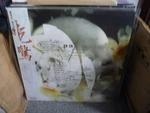 Pale Saints - Mrs. Dolphin Obi Strip Rsd Marbled Vinyl Still Sealed. Fixed Price $47.01.
